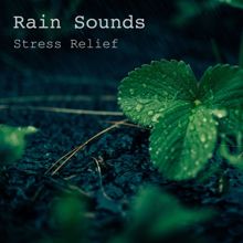 Rain Sounds: Stress Relief