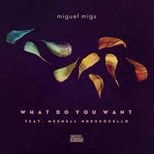 Miguel Migs, Meshell Ndegeocello: What Do You Want (feat. Meshell Ndegeocello)