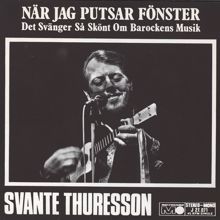 Svante Thuresson: När jag putsar fönster