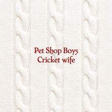 Pet Shop Boys: Cricket wife