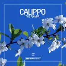 Calippo: The Flavor