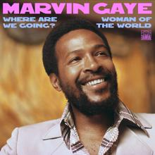 Marvin Gaye: Where Are We Going? / Woman Of The World