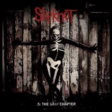 Slipknot: The Negative One