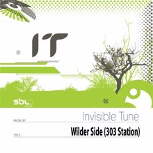 Invisible Tune: Wilder Side (303 Station)