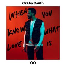 Craig David: When You Know What Love Is