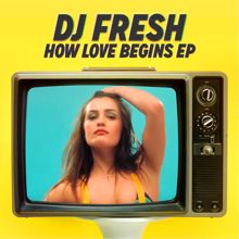 DJ Fresh: How Love Begins