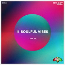 Various Artists: Soulful Vibes Vol. 15