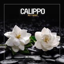 Calippo: All I Want (Original Club Mix)