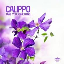 Calippo: Owe You Something (Radio Mix)