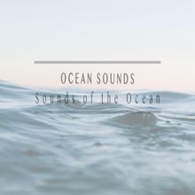 Ocean Sounds: Sounds of the Ocean