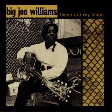 Big Joe Williams: These Are My Blues (Live)