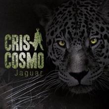 Cris Cosmo: Karma