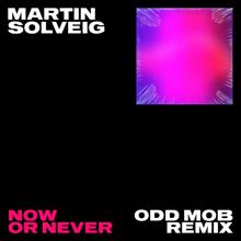 Martin Solveig: Now Or Never (Odd Mob Remix) (Now Or NeverOdd Mob Remix)