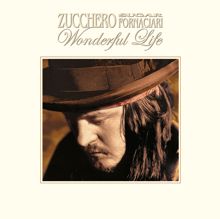 Zucchero: Wonderful Life