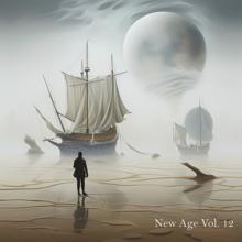 Various Artists: New Age Vol. 12