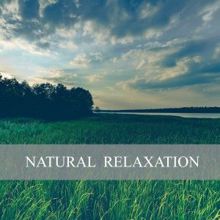 Rain Sounds: Natural Relaxation