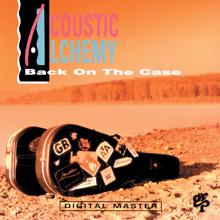 Acoustic Alchemy: Break For The Border (Album Version)