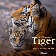 Nitin Sawhney: Disneynature: Tiger (Original Soundtrack) (Disneynature: TigerOriginal Soundtrack)