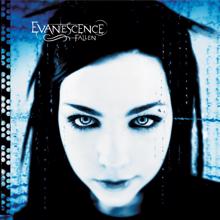 Evanescence: Taking Over Me
