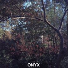 Onyx: Embrace Your Shadow