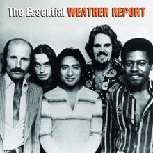 Weather Report: Punk Jazz