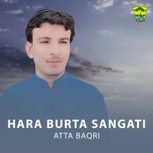 Atta Baqri: Hara Burta Sangati