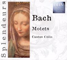 Cantus Cölln: Bach: Motets