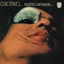 Caetano Veloso: Muitos Carnavais