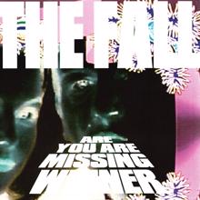 The Fall: Are You Are Missing Winner (Deluxe Version)