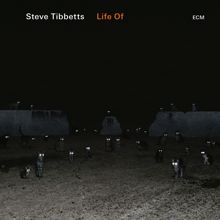Steve Tibbetts: Life Of Mir