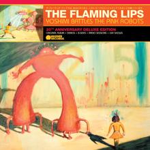 The Flaming Lips: Fight Test (Live at the Forum, London, UK 1/22/03)