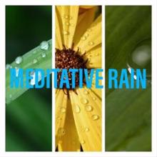 Rain Sounds: Meditative Rain