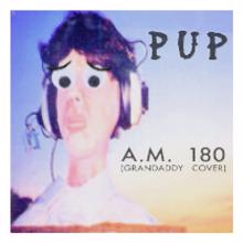 PUP: A.M. 180