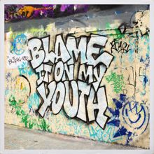 blink-182: Blame It On My Youth