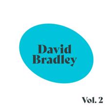 DAVID BRADLEY: David Bradley, Vol. 2