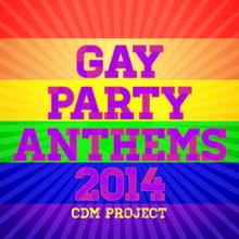 CDM Project: Gay Party Anthems 2014
