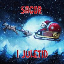 Various Artists: Sagor i juletid