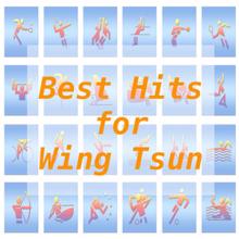 Tune Robbers: Best Hits for Wing Tsun