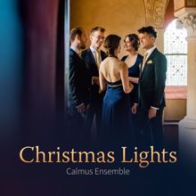 Calmus Ensemble: Christmas Lights