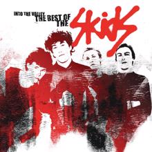 Skids: Sweet Suburbia - The Best Of The Skids