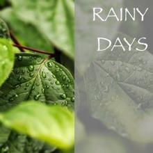 Rain Sounds: Rainy Days