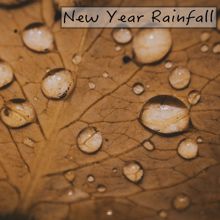 Rain Sounds: New Year Rainfall