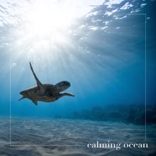 Ocean Sounds: Calming Ocean