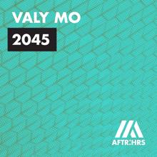Valy Mo: 2045