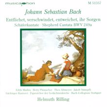 Helmuth Rilling: Bach, J.S.: Entfliehet, Verschwindet, Entweichet, Ihr Sorgen / Concerto for Oboe and Violin in D Minor