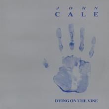 John Cale: Dying on the Vine