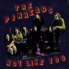 The Pinheads: Not Like You