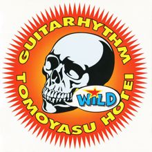 Tomoyasu Hotei: Guitarhythm Wild