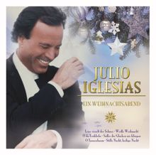 Julio Iglesias: Leise Rieselt Der Schnee/Es Ist Ein Ros' Entsprungen (Album Version)