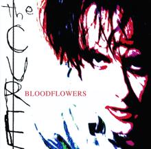 The Cure: Bloodflowers